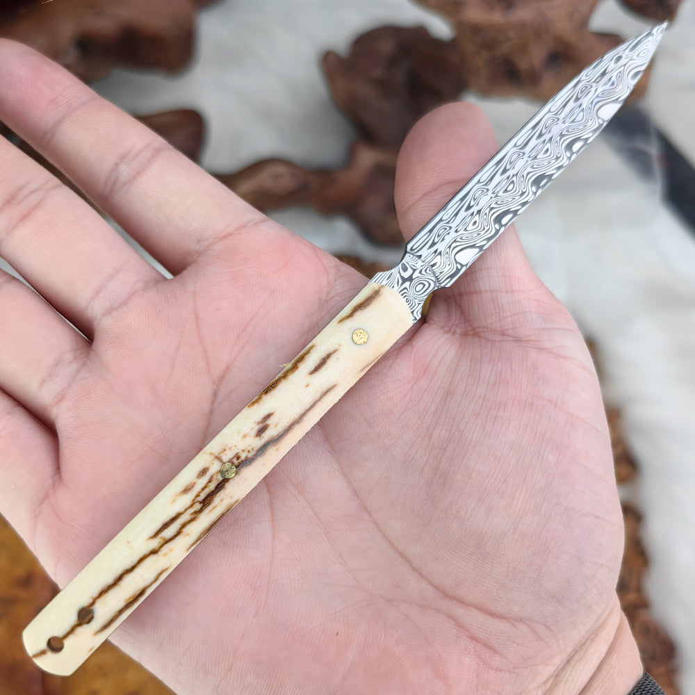 Tea Knife in Damasteel with Mammoth Ivory